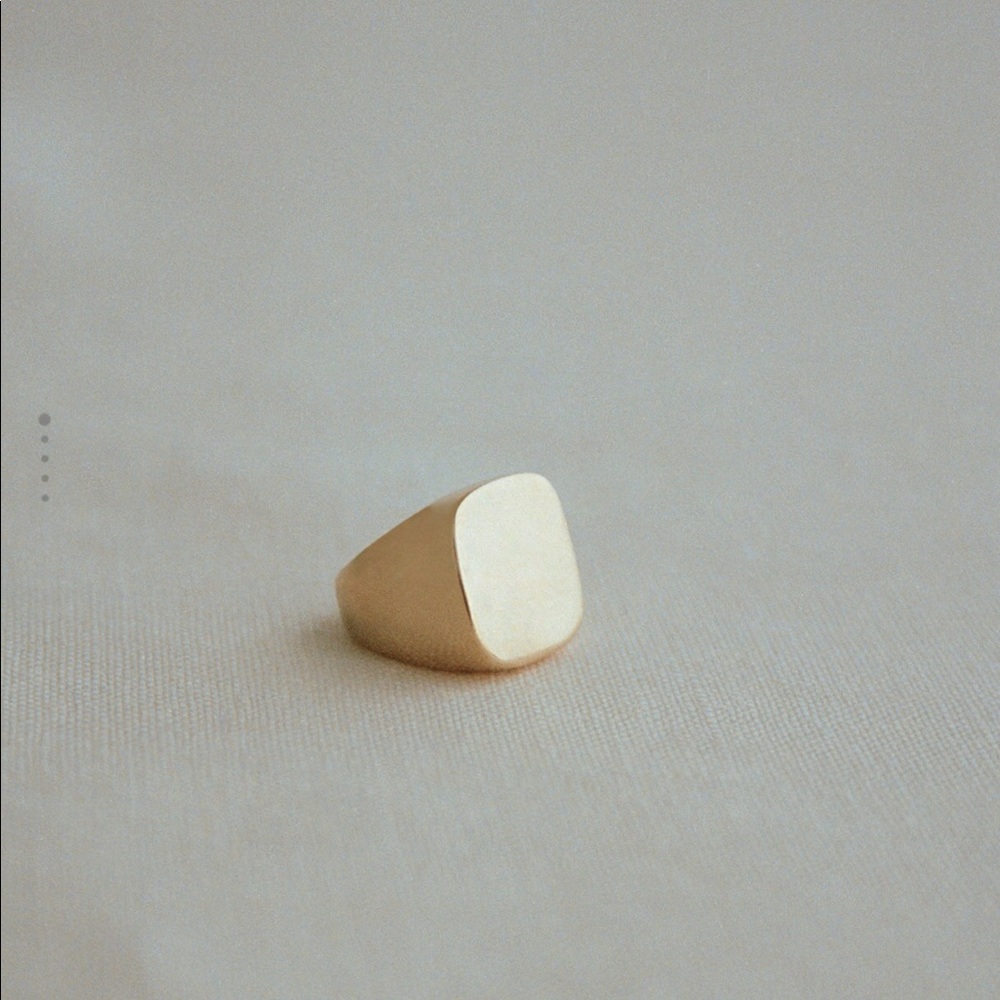 Zara Limited Edition Maxi Signet Ring